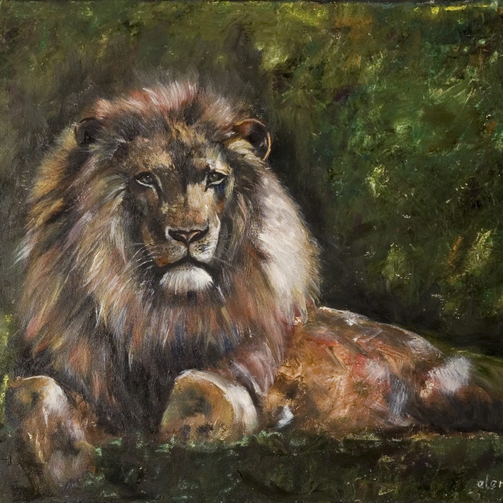 lion