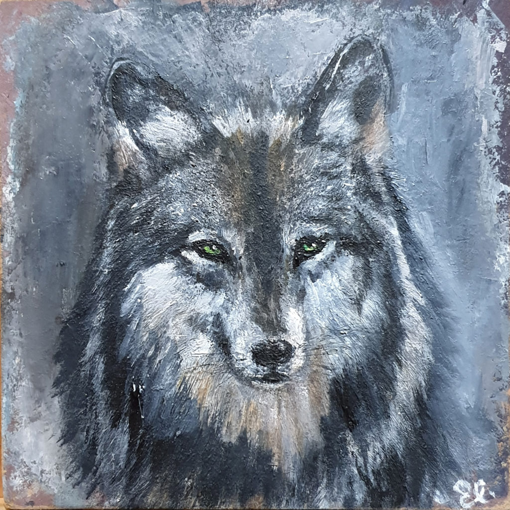 grey-wolf