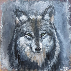 grey-wolf