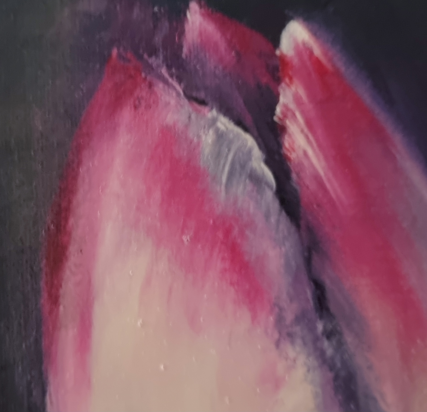 2023-01-21 15-09-15 1
